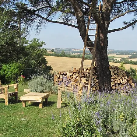 Les Du Canal Du Midi - Bois & Cailloux *