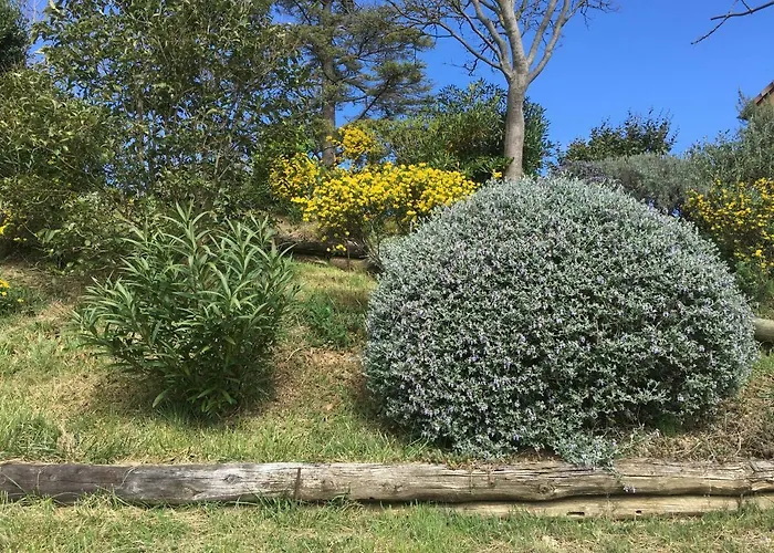 Ferienhaus Les Du Canal Du Midi - Bois & Cailloux Montgaillard-Lauragais