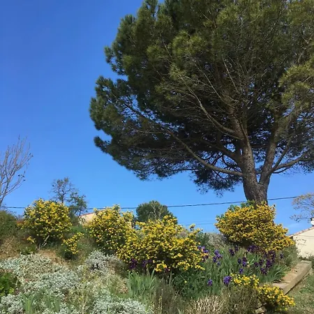 Les Du Canal Du Midi - Bois & Cailloux Holiday home