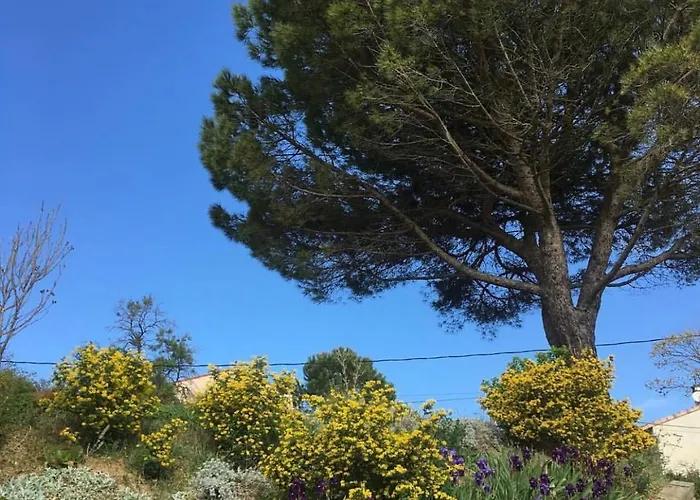 Les Du Canal Du Midi - Bois & Cailloux 別荘